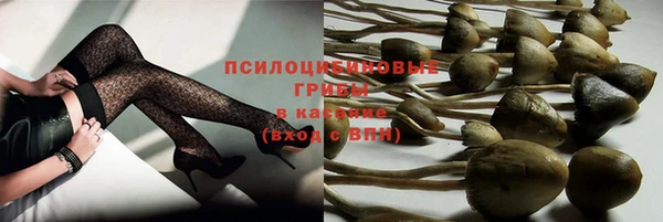 ПСИЛОЦИБИНОВЫЕ ГРИБЫ Арсеньев