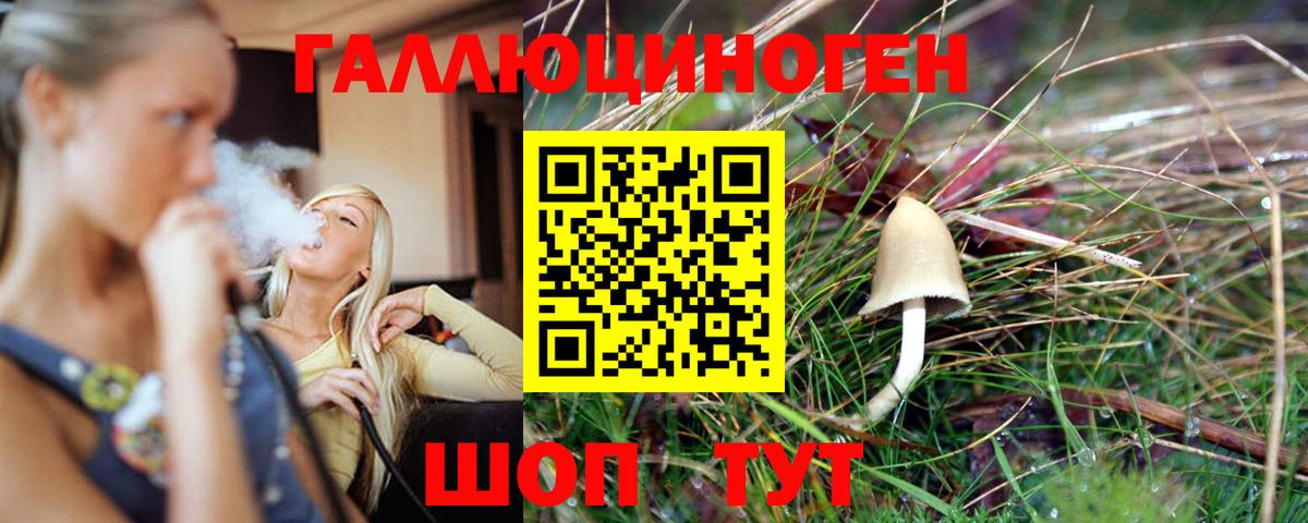 Псилоцибиновые грибы Psilocybine cubensis Усинск